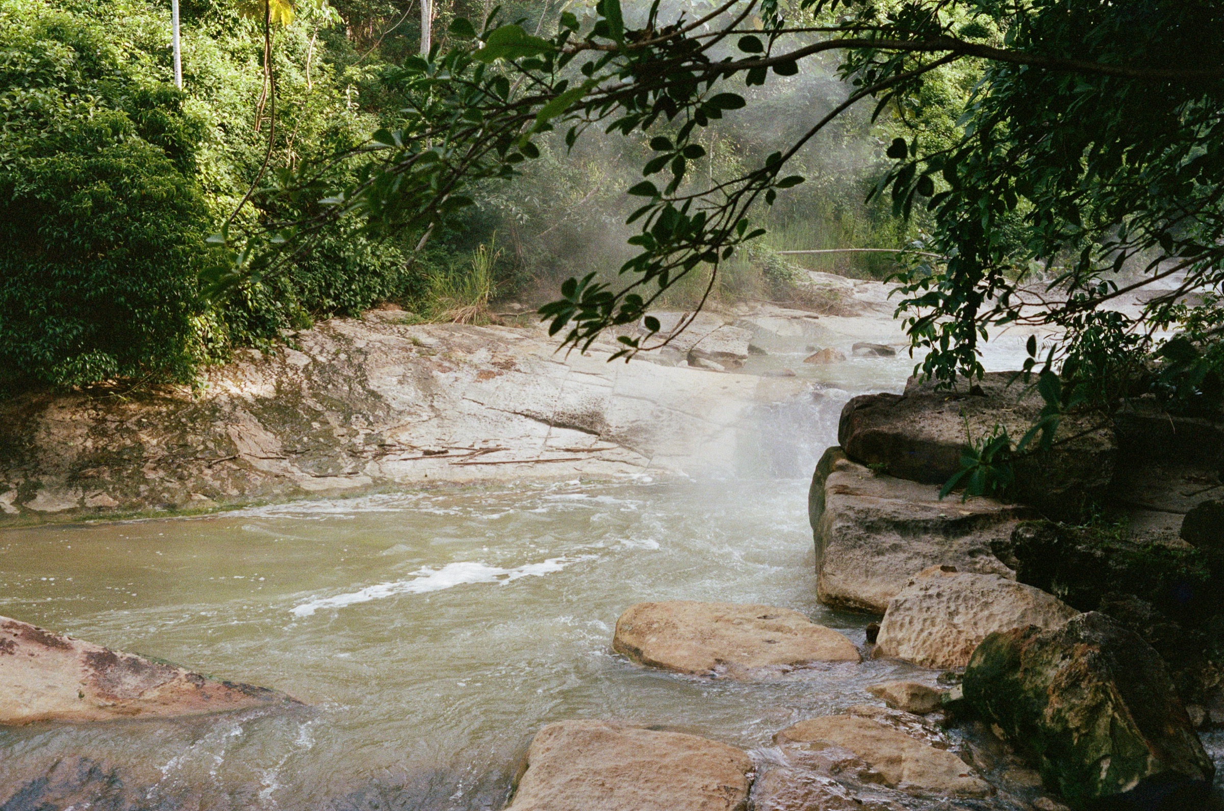 A mist rising off a forest stream